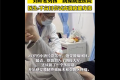 “刘畊宏男孩”跳操跳进医院 患有腰椎间盘突出跟跳诱发疾病