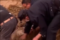新疆民警暴雨后在泥里拔羊 网友“光看标题就觉得很可爱了”