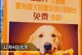 饭店每日免费送熬汤剩骨给养犬顾客 网友“你到是给地址啊”